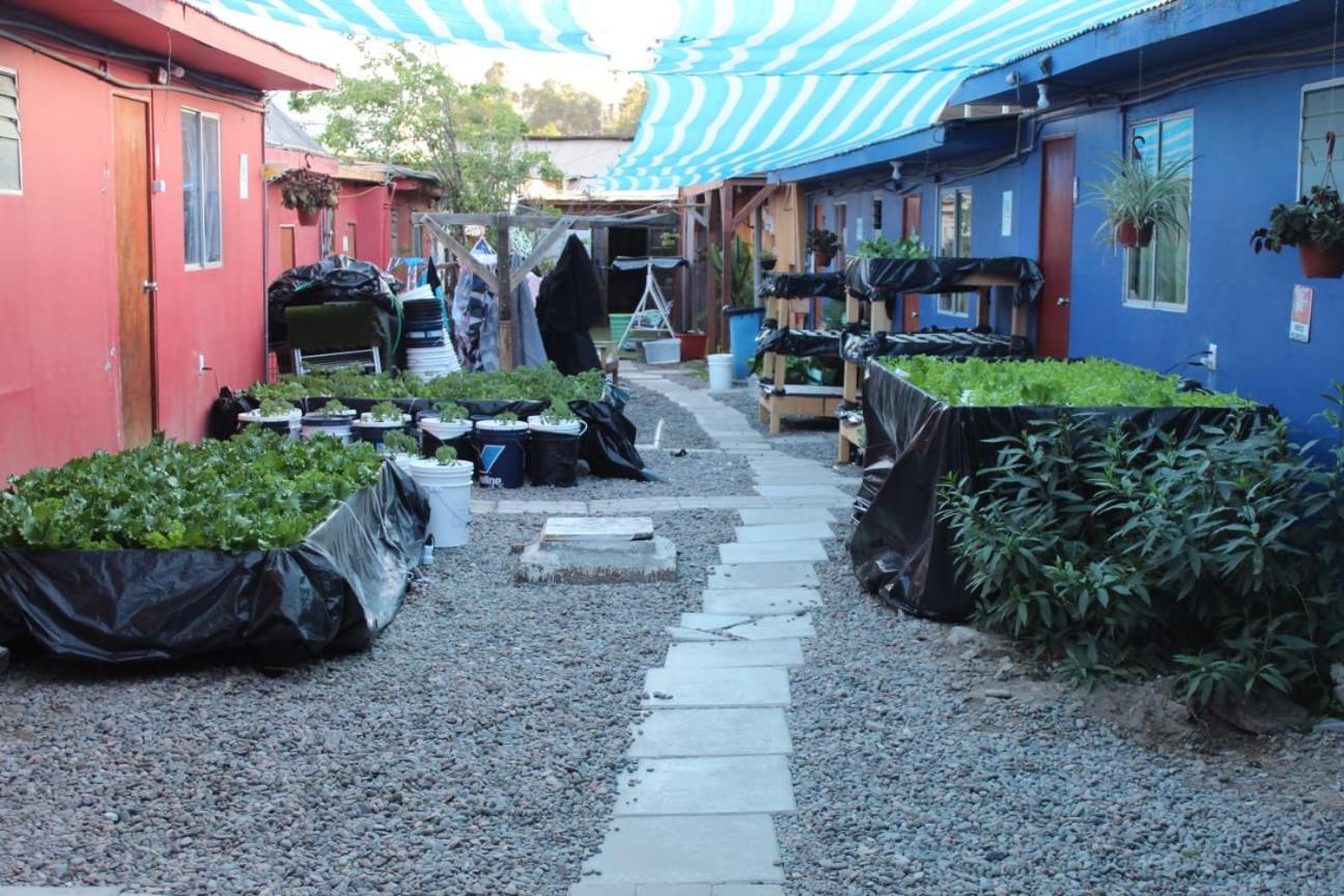 El Valle Copiapo Luaran gambar